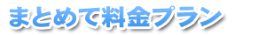 まとめて料金プラン